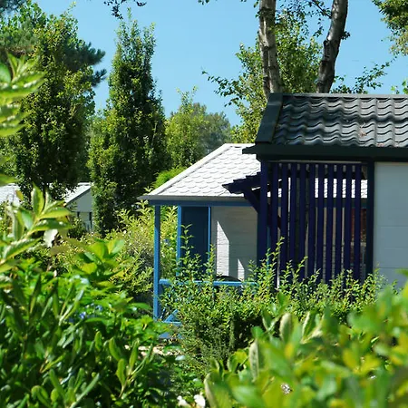 Camping Camping Côté ô
