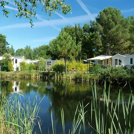 Camping Camping Côté ô 4*