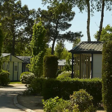 Camping Côté ô 4*